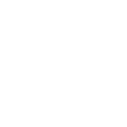Project Vision